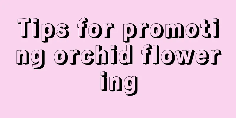 Tips for promoting orchid flowering