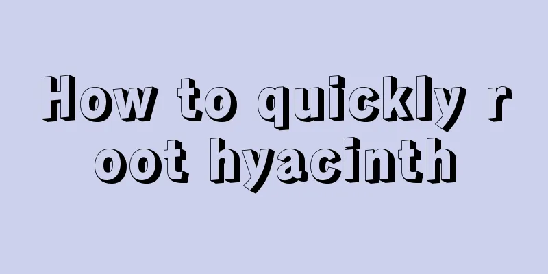 How to quickly root hyacinth