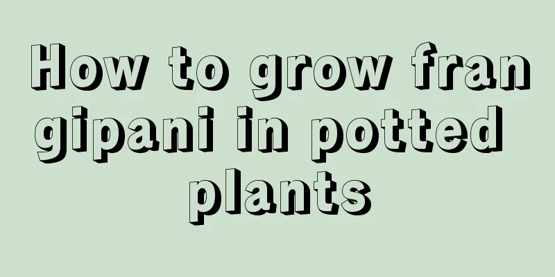 How to grow frangipani in potted plants