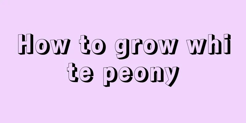 How to grow white peony