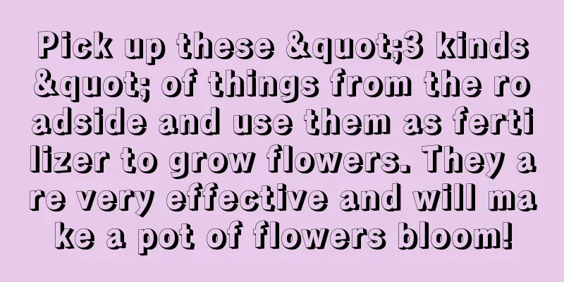 Pick up these "3 kinds" of things from the roadside and use them as fertilizer to grow flowers. They are very effective and will make a pot of flowers bloom!