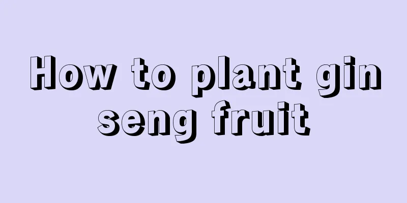 How to plant ginseng fruit