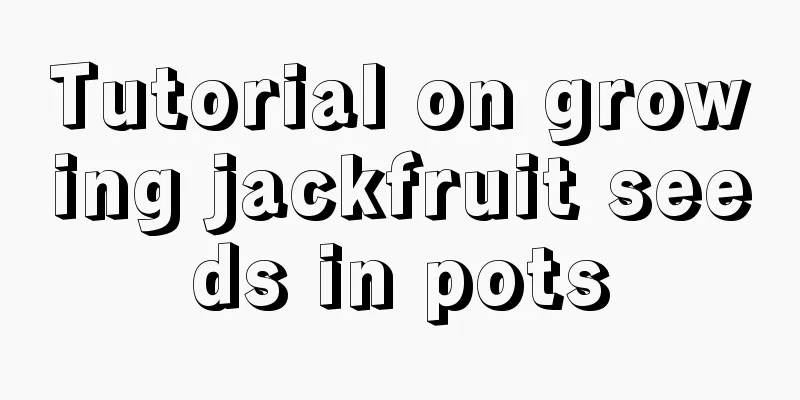 Tutorial on growing jackfruit seeds in pots