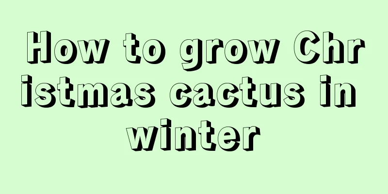 How to grow Christmas cactus in winter