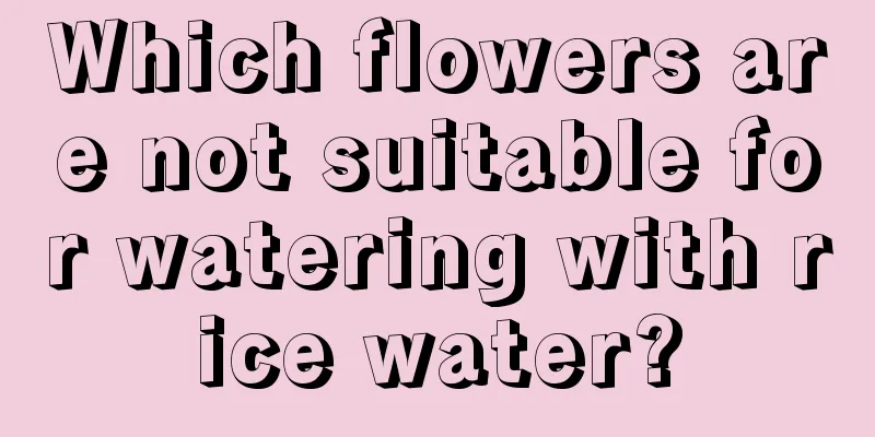 Which flowers are not suitable for watering with rice water?