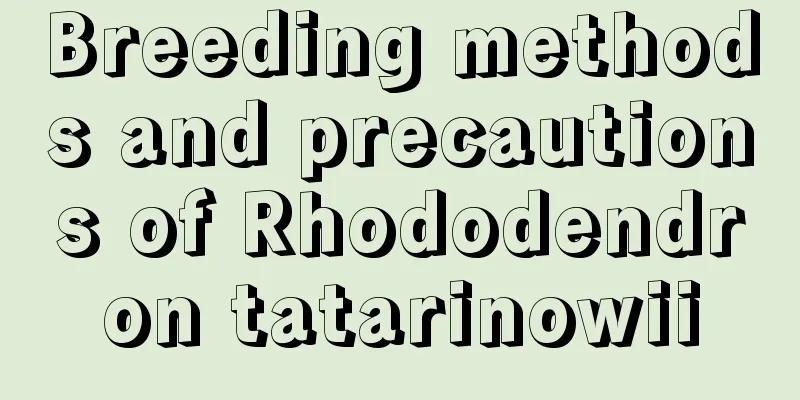 Breeding methods and precautions of Rhododendron tatarinowii