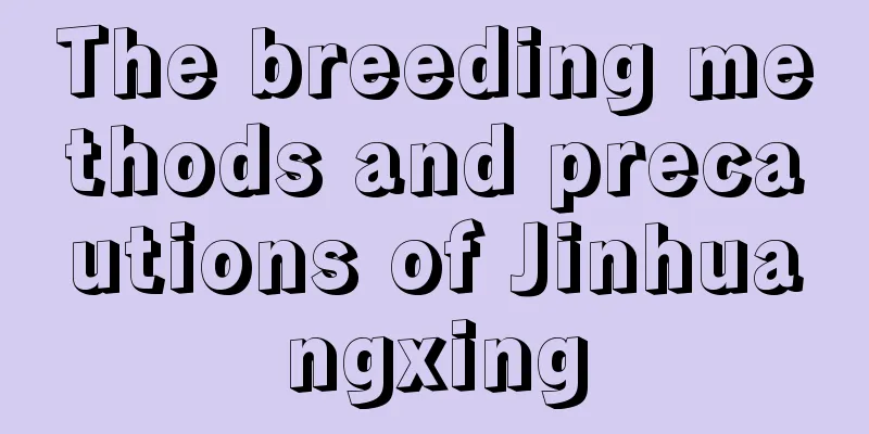 The breeding methods and precautions of Jinhuangxing