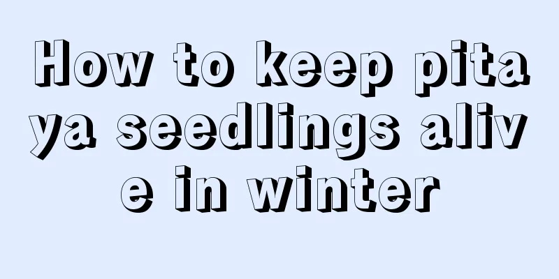 How to keep pitaya seedlings alive in winter