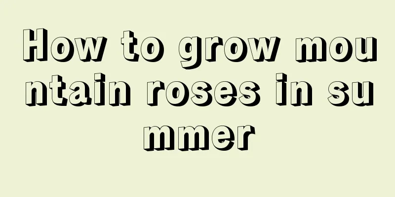 How to grow mountain roses in summer