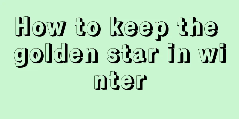 How to keep the golden star in winter