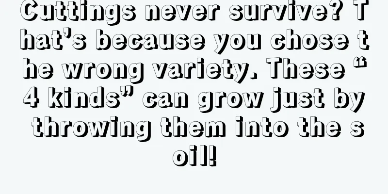 Cuttings never survive? That’s because you chose the wrong variety. These “4 kinds” can grow just by throwing them into the soil!