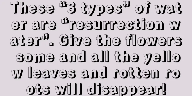 These “3 types” of water are “resurrection water”. Give the flowers some and all the yellow leaves and rotten roots will disappear!