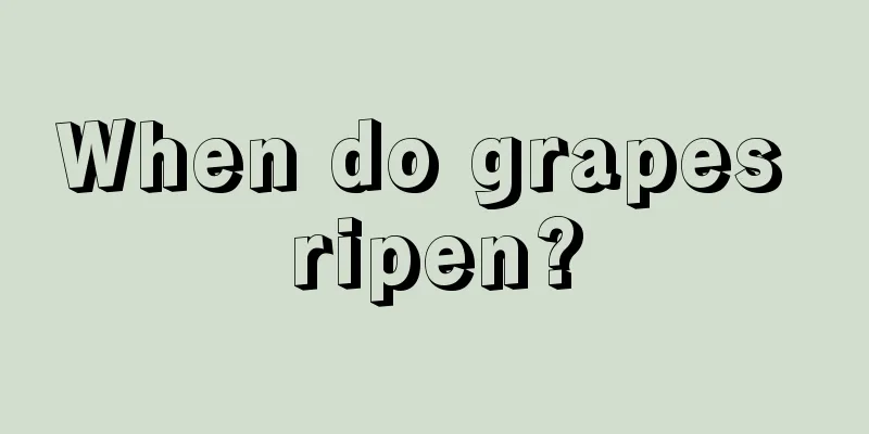 When do grapes ripen?