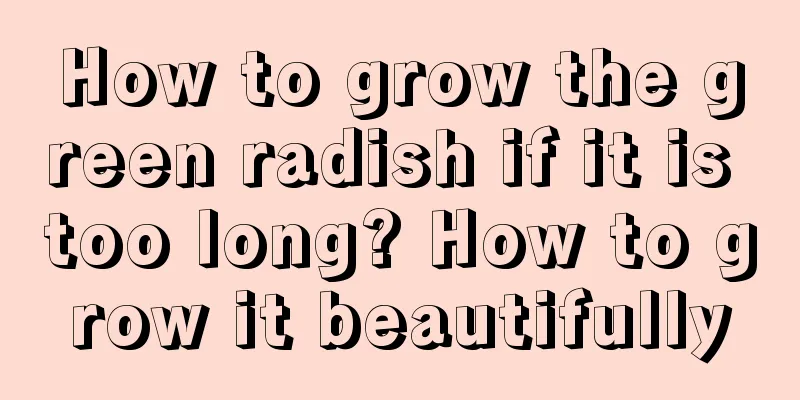 How to grow the green radish if it is too long? How to grow it beautifully