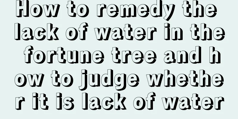 How to remedy the lack of water in the fortune tree and how to judge whether it is lack of water