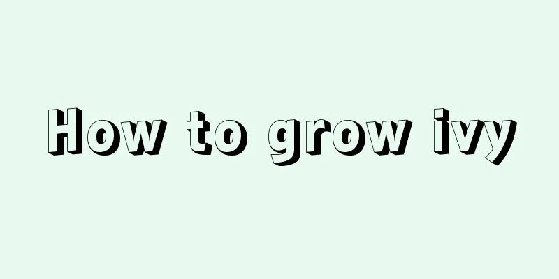 How to grow ivy