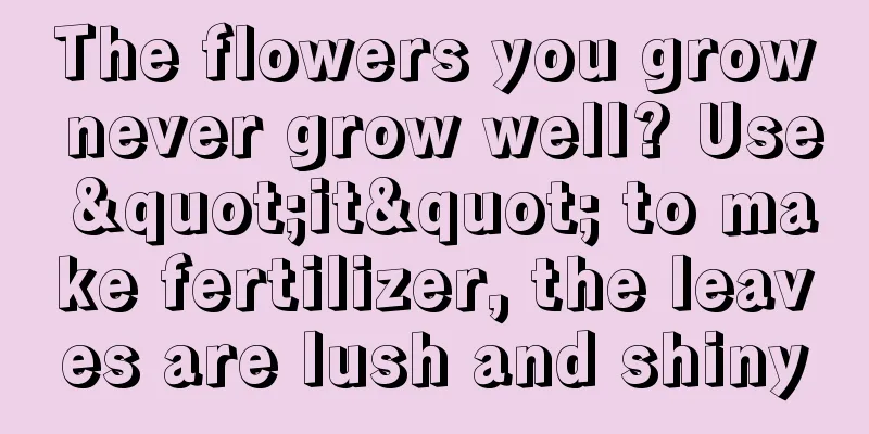 The flowers you grow never grow well? Use "it" to make fertilizer, the leaves are lush and shiny