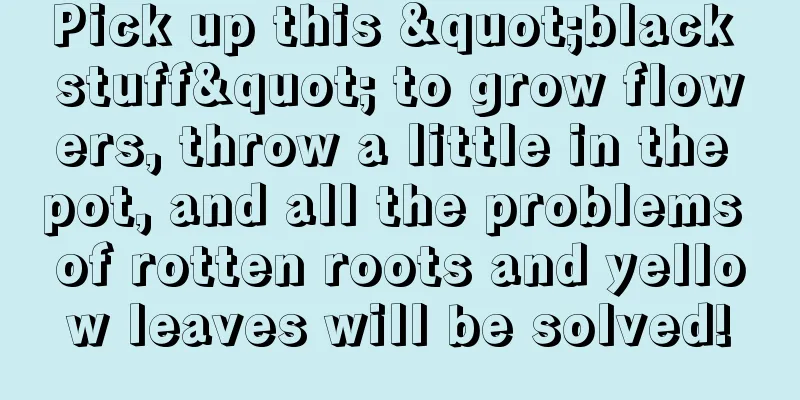 Pick up this "black stuff" to grow flowers, throw a little in the pot, and all the problems of rotten roots and yellow leaves will be solved!