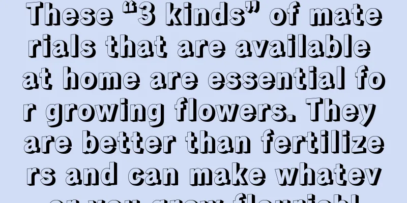 These “3 kinds” of materials that are available at home are essential for growing flowers. They are better than fertilizers and can make whatever you grow flourish!