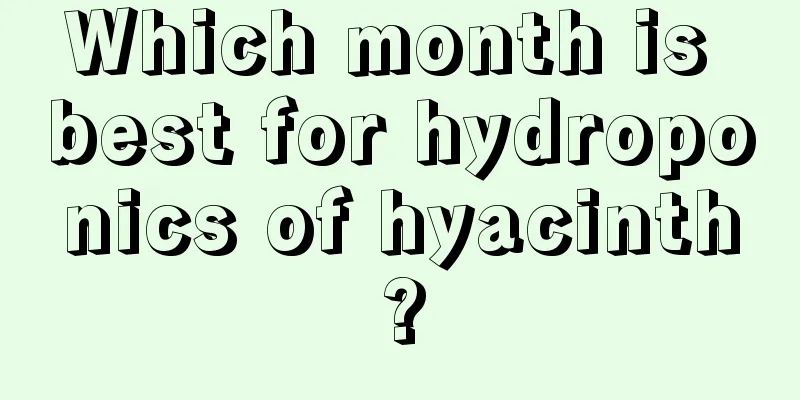 Which month is best for hydroponics of hyacinth?