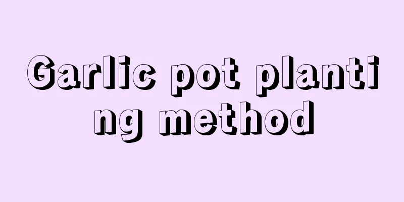 Garlic pot planting method