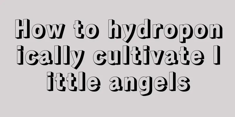 How to hydroponically cultivate little angels