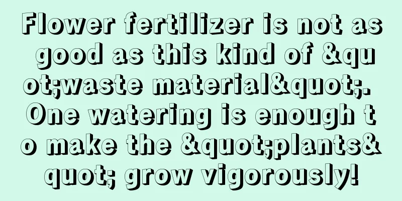 Flower fertilizer is not as good as this kind of "waste material". One watering is enough to make the "plants" grow vigorously!