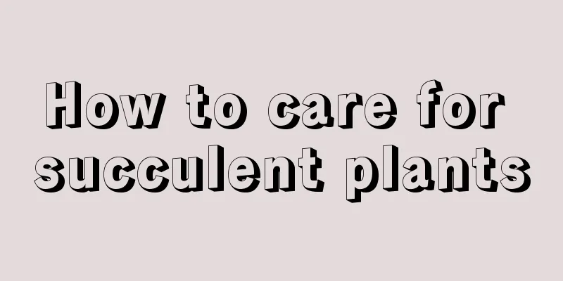 How to care for succulent plants