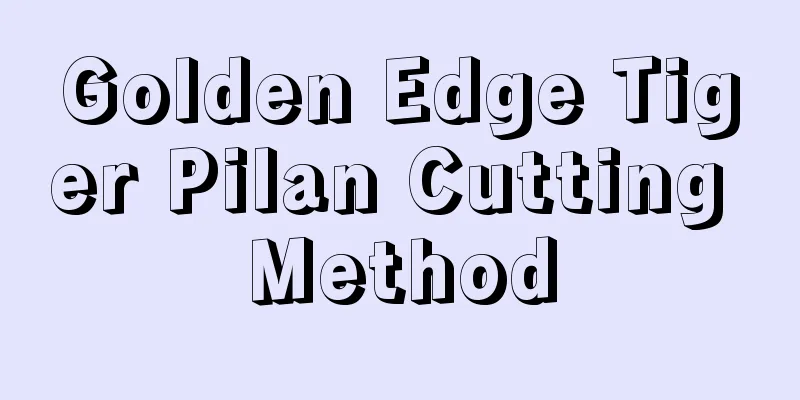 Golden Edge Tiger Pilan Cutting Method