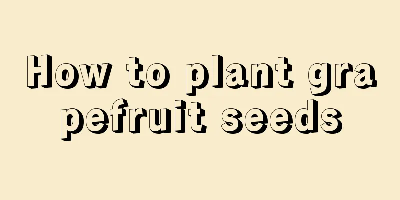 How to plant grapefruit seeds