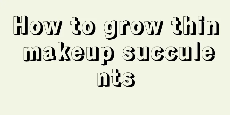 How to grow thin makeup succulents