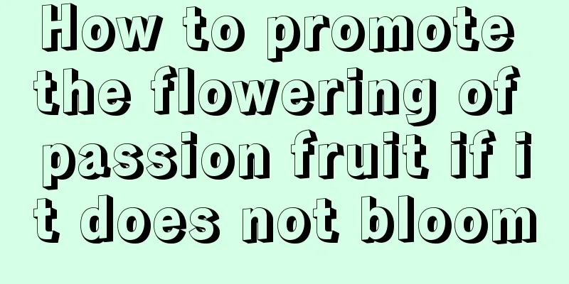 How to promote the flowering of passion fruit if it does not bloom