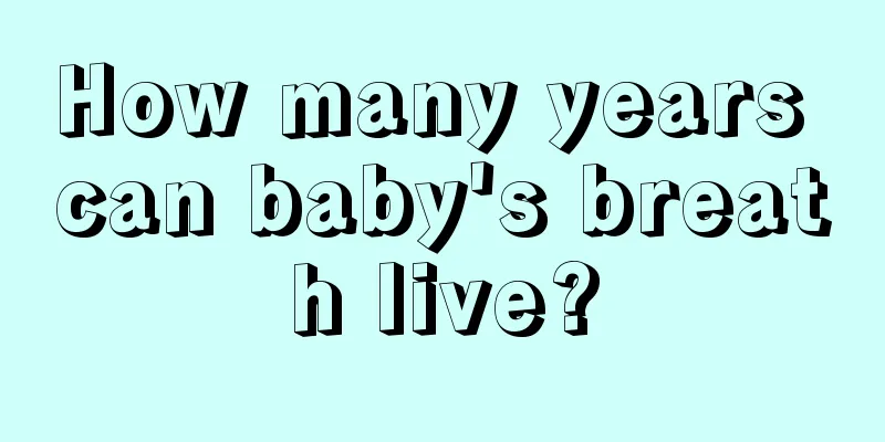 How many years can baby's breath live?