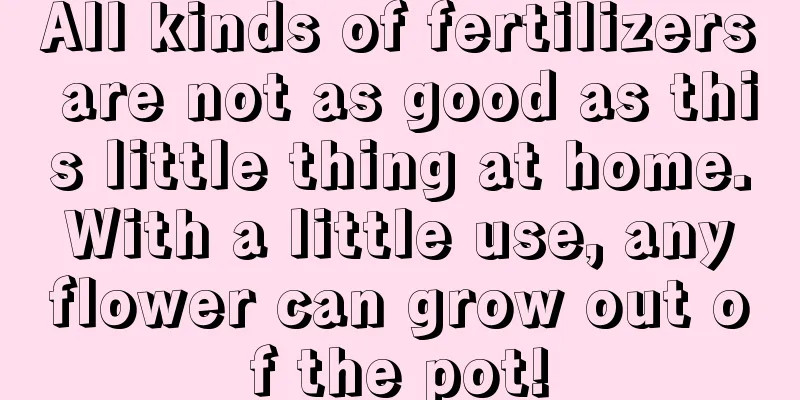 All kinds of fertilizers are not as good as this little thing at home. With a little use, any flower can grow out of the pot!