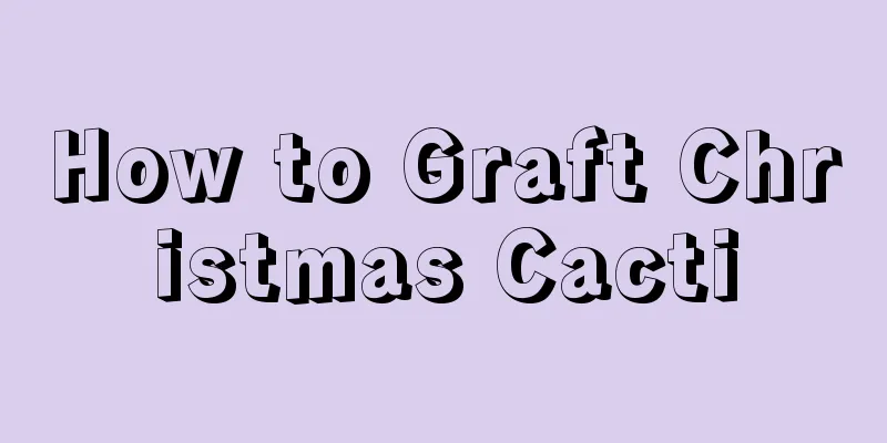 How to Graft Christmas Cacti