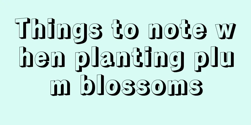 Things to note when planting plum blossoms