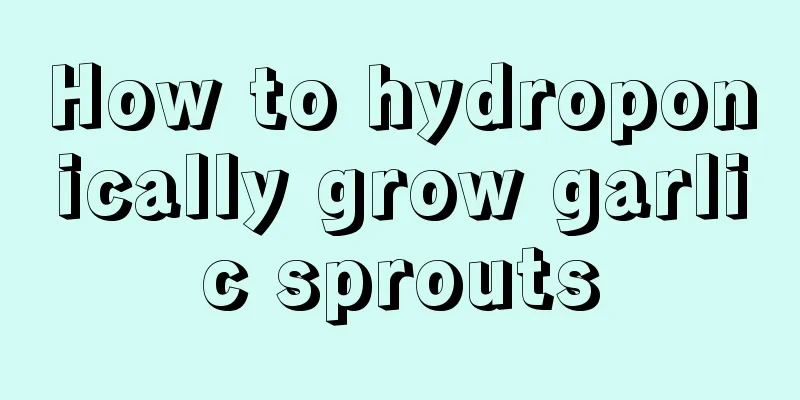 How to hydroponically grow garlic sprouts