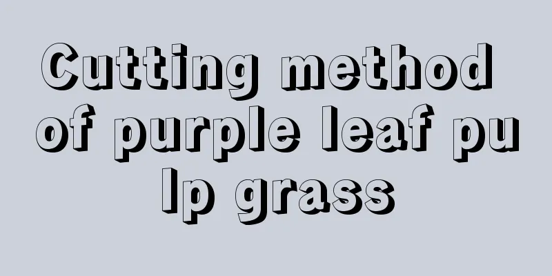 Cutting method of purple leaf pulp grass