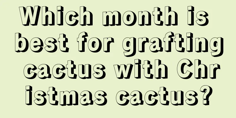 Which month is best for grafting cactus with Christmas cactus?