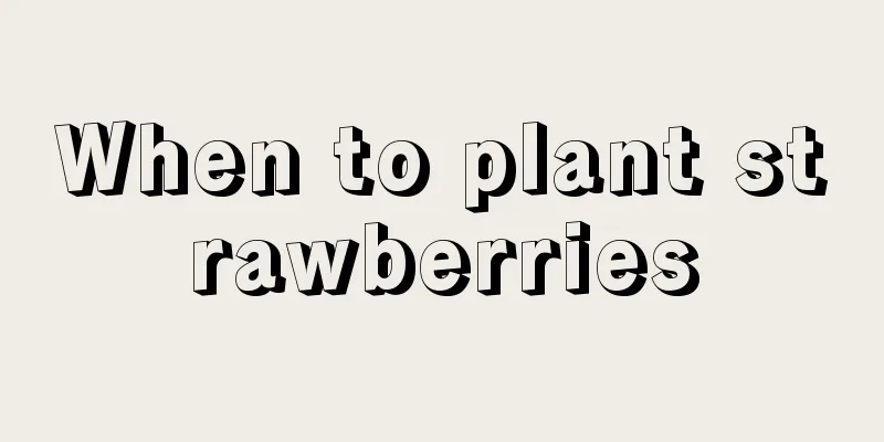 When to plant strawberries