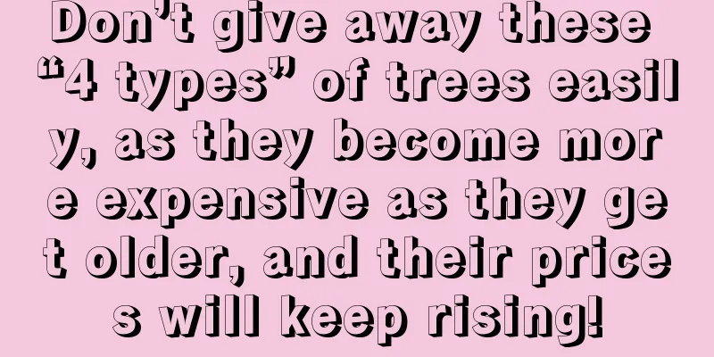 Don’t give away these “4 types” of trees easily, as they become more expensive as they get older, and their prices will keep rising!