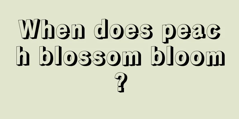 When does peach blossom bloom?