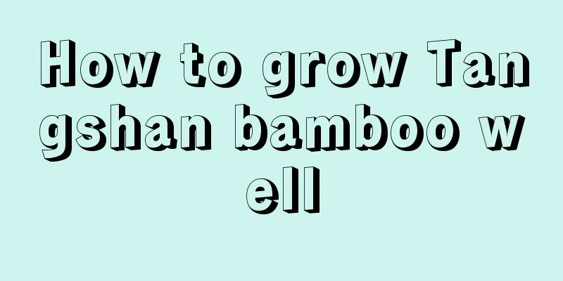 How to grow Tangshan bamboo well