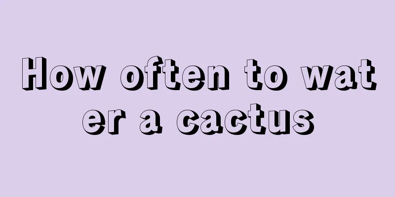 How often to water a cactus