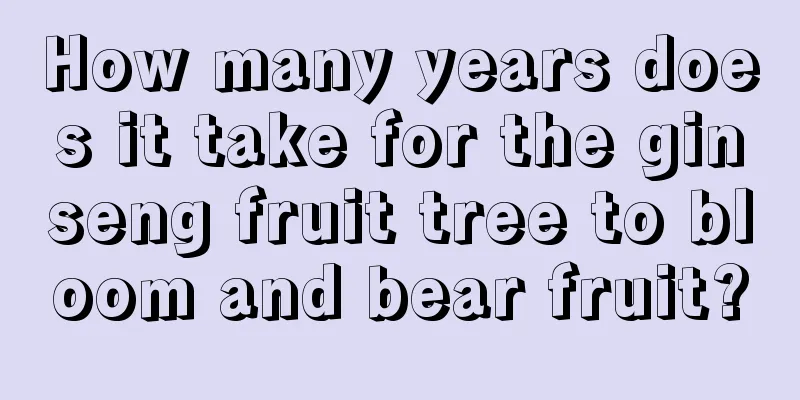 How many years does it take for the ginseng fruit tree to bloom and bear fruit?