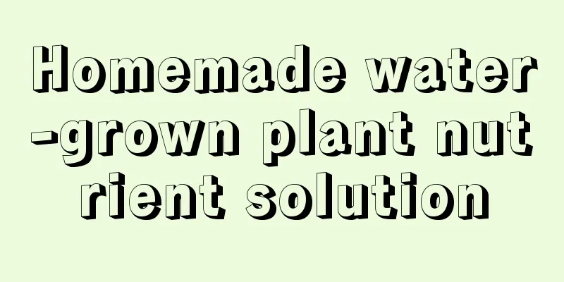 Homemade water-grown plant nutrient solution