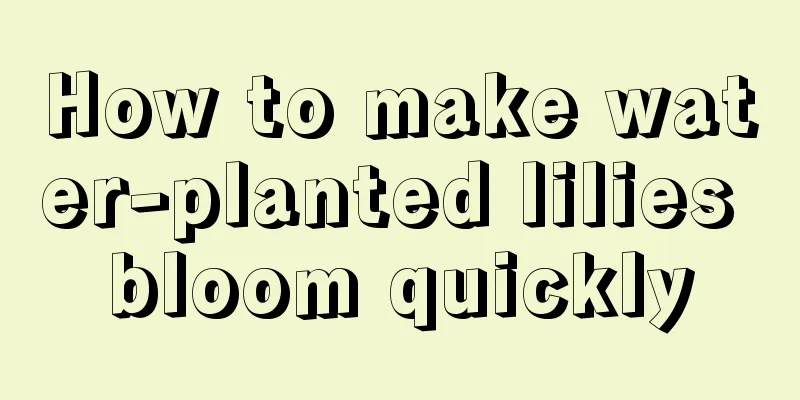 How to make water-planted lilies bloom quickly