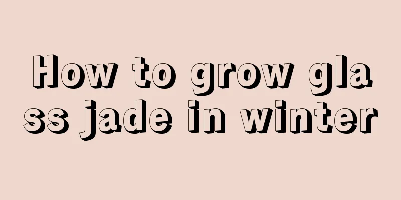 How to grow glass jade in winter