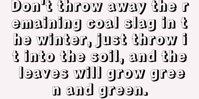 Don't throw away the remaining coal slag in the winter, just throw it into the soil, and the leaves will grow green and green.