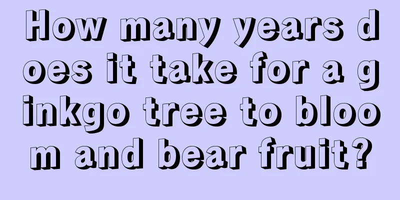 How many years does it take for a ginkgo tree to bloom and bear fruit?